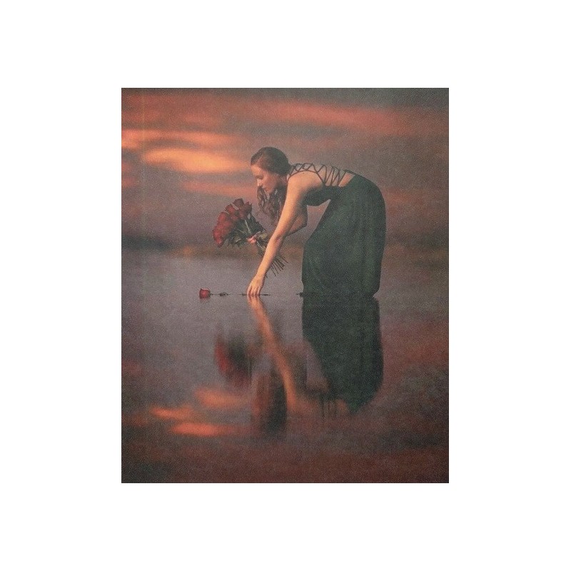 Ριζόχαρτο αυτοκόλλητο decoupage TELA 38.5 X 30.5 df-051