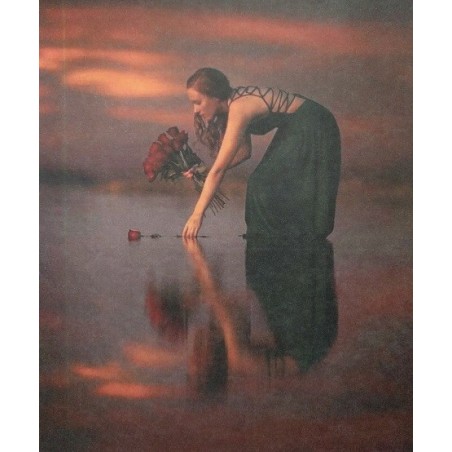 Ριζόχαρτο αυτοκόλλητο decoupage TELA 38.5 X 30.5 df-051