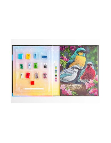 Crystal Creations Κολάζ Στρας Spring Birds Hinkler Create