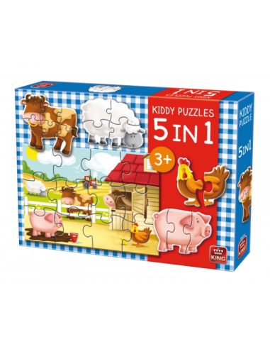Kiddy Puzzles 5 in 1