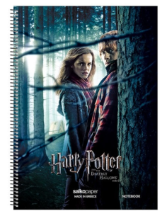 Τετράδιο Σπιράλ Salko Harry Potter 2Θ 17x25