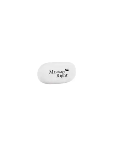 Γόμα fun slogans Mr. Always Right 6,5X4 cm