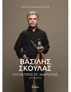 ΒΑΣΙΛΗΣ ΣΚΟΥΛΑΣ