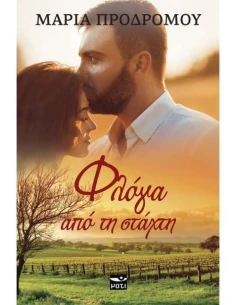 ΦΛΟΓΑ ΑΠΟ ΤΗ ΣΤΑΧΤΗ