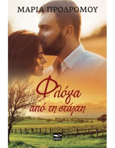 ΦΛΟΓΑ ΑΠΟ ΤΗ ΣΤΑΧΤΗ