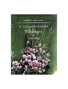 Τ' ΑΓΡΙΟΛΟΥΛΟΥΔΑ ΤΟΥ ΒΑΡΛΑΜΟΥ