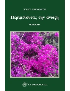 ΠΕΡΙΜΕΝΟΝΤΑΣ ΤΗΝ ΑΝΟΙΞΗ