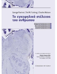 ΤΟ ΕΓΚΕΦΑΛΙΚΟ ΣΤΕΛΕΧΟΣ ΤΟΥ ΑΝΘΡΩΠΟΥ