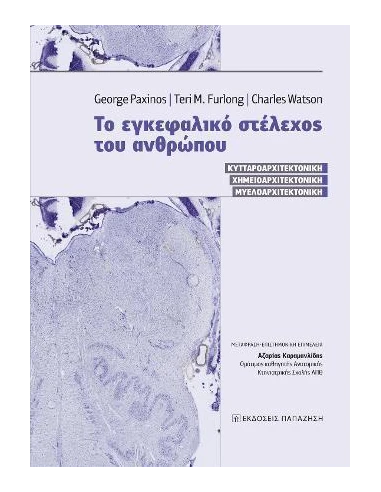 ΤΟ ΕΓΚΕΦΑΛΙΚΟ ΣΤΕΛΕΧΟΣ ΤΟΥ ΑΝΘΡΩΠΟΥ