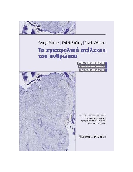 ΤΟ ΕΓΚΕΦΑΛΙΚΟ ΣΤΕΛΕΧΟΣ ΤΟΥ ΑΝΘΡΩΠΟΥ
