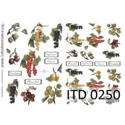 Χαρτί decoupage classic 60gr ITD -DO250 2
