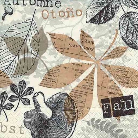 Χαρτοπετσέτα decoupage 25 x 25 12009