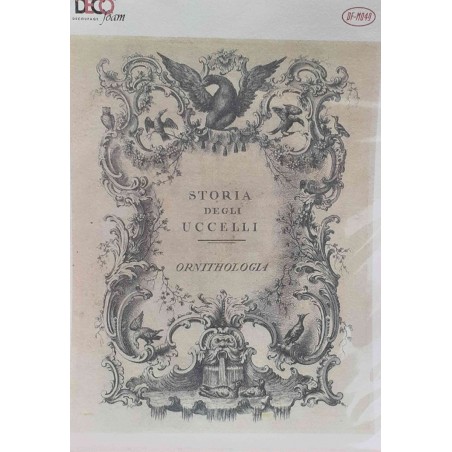 Ριζόχαρτο αυτοκόλλητο decoupage TELA 42 X 31 TT-191