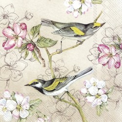 Χαρτοπετσέτα για decoupage 33X33 ihr 904460