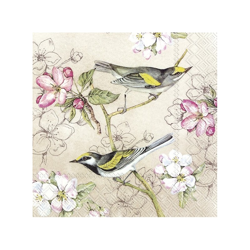 Χαρτοπετσέτα για decoupage 33X33 ihr 904460