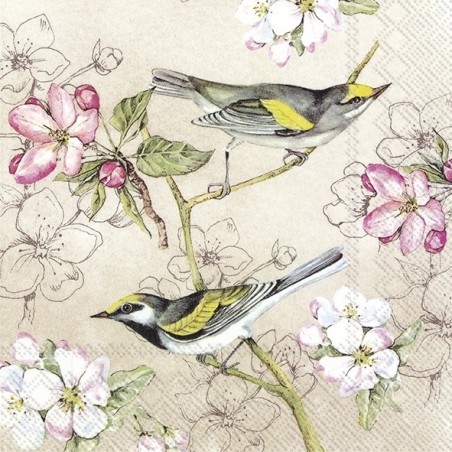 Χαρτοπετσέτα για decoupage 33X33 ihr 904460