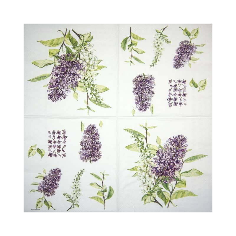 Χαρτοπετσέτα για decoupage 33X33 Ambiente 13314900