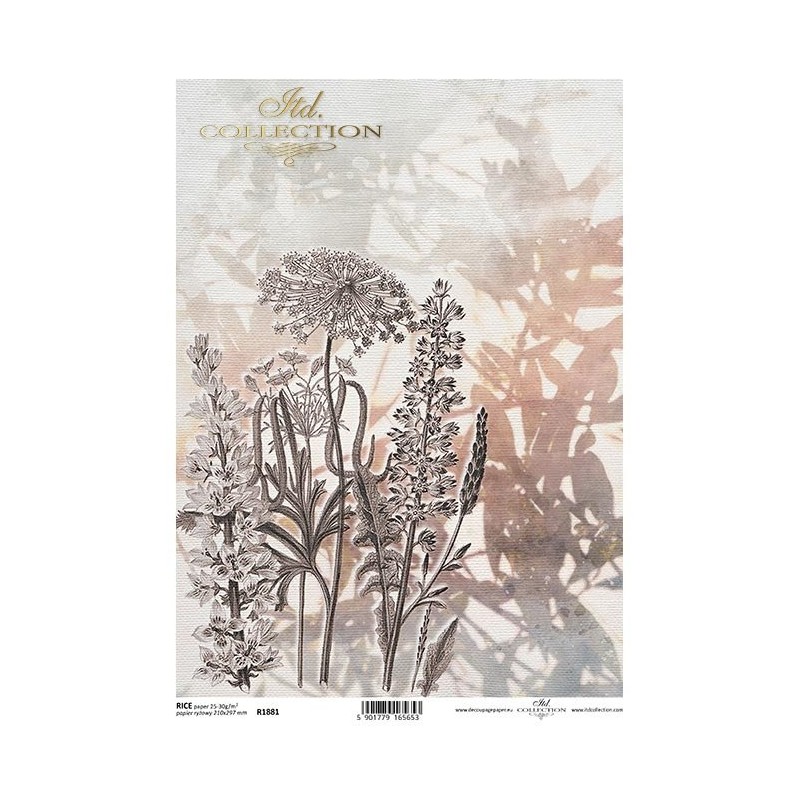 Ριζόχαρτο decoupage ITD 21x30 R1198