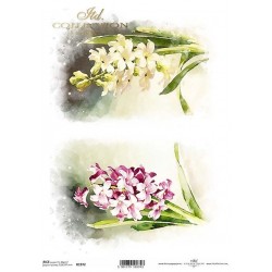 Ριζόχαρτο decoupage ITD 21x30 R1198