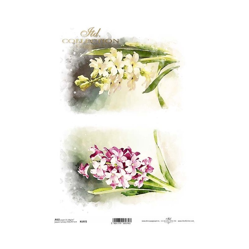 Ριζόχαρτο decoupage ITD 21x30 R1198