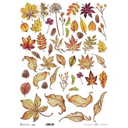 Ριζόχαρτο decoupage ITD 29,5 X 42 R0095L