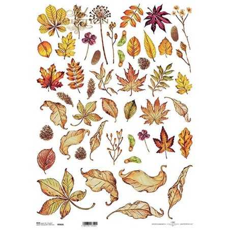 Ριζόχαρτο decoupage ITD 29,5 X 42 R0095L